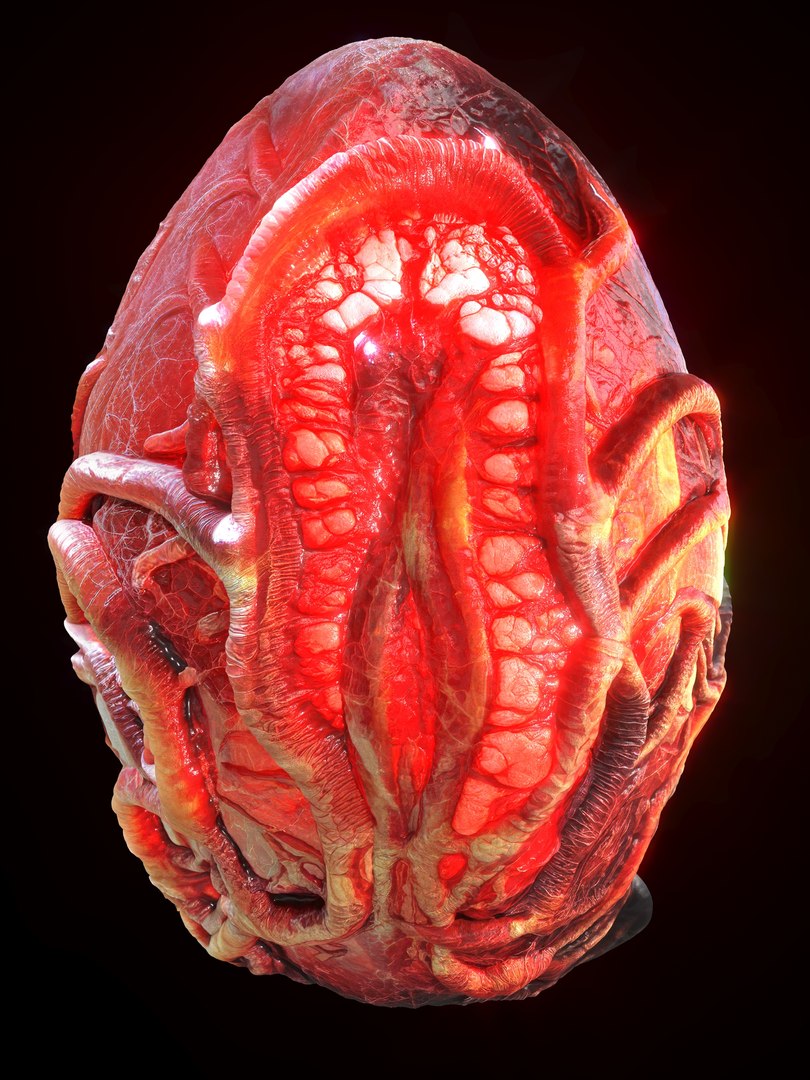 Alien Eggs Life Form Pack 3D https://p.turbosquid.com/ts-thumb/rw/Mng9o8/zl/2_1/jpg/1704278447/1920x1080/fit_q87/caf329ede8141a427b39dca5b76a9cc099573f08/2_1.jpg