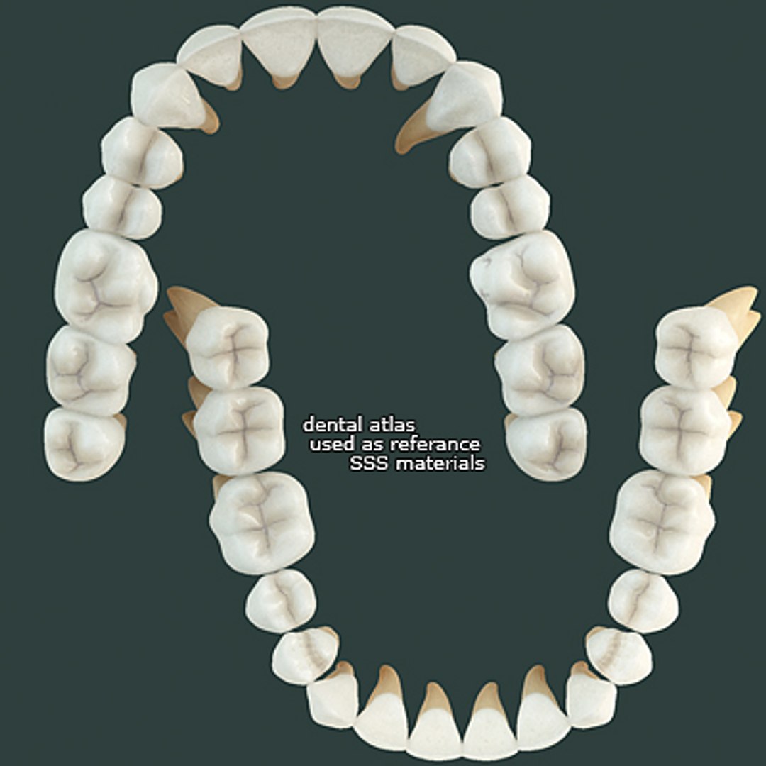 3d linda 5 realistic female https://p.turbosquid.com/ts-thumb/rw/Nlf7Kx/9mW826ga/08/jpg/1257025640/1920x1080/fit_q87/12bfa0011977e4d471b6b0ed203f92b08cfd5ccf/08.jpg