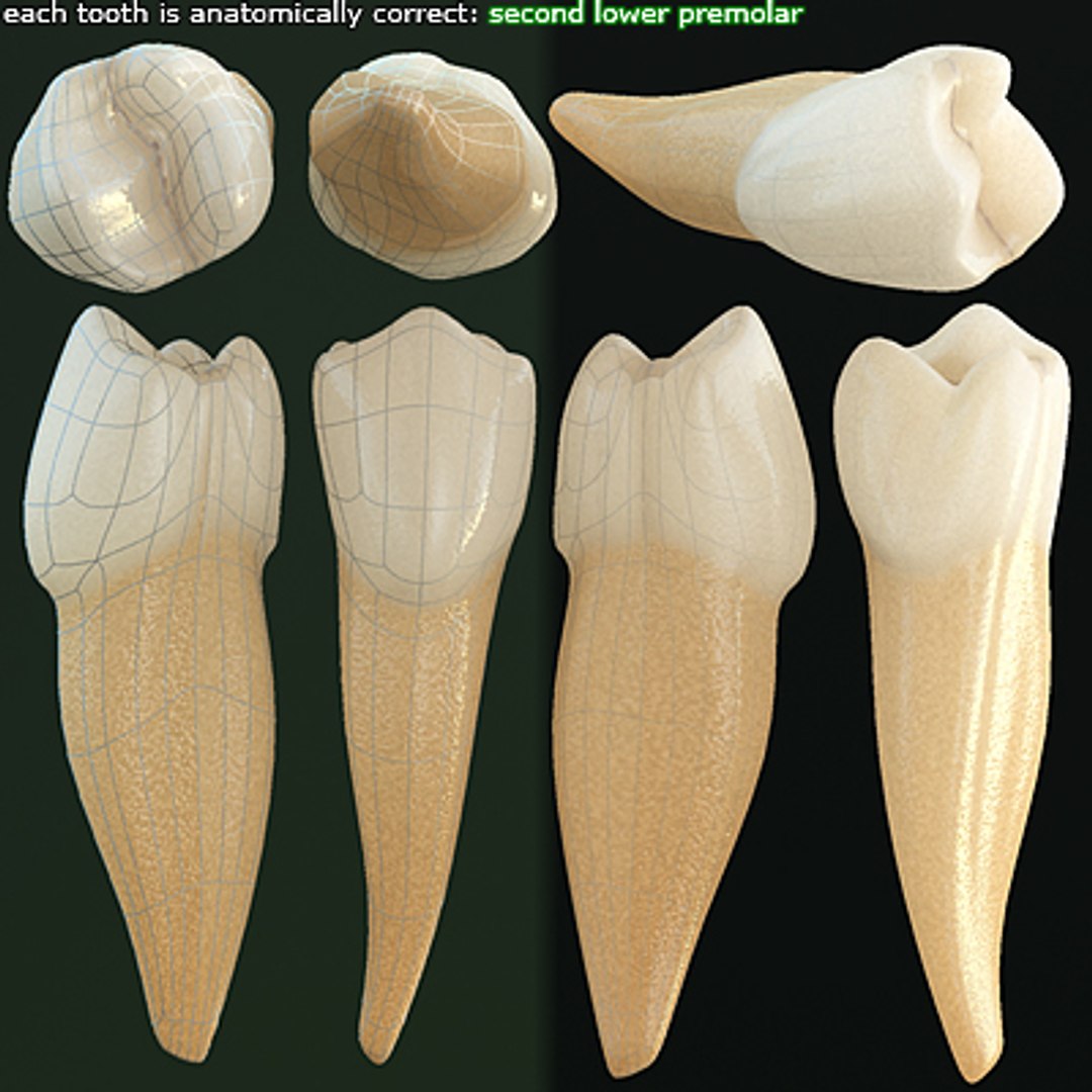 3d linda 5 realistic female https://p.turbosquid.com/ts-thumb/rw/Nlf7Kx/cLGq16Sk/09/jpg/1257025644/1920x1080/fit_q87/29030331bee8ee5ecc514e65c4ba711851883980/09.jpg