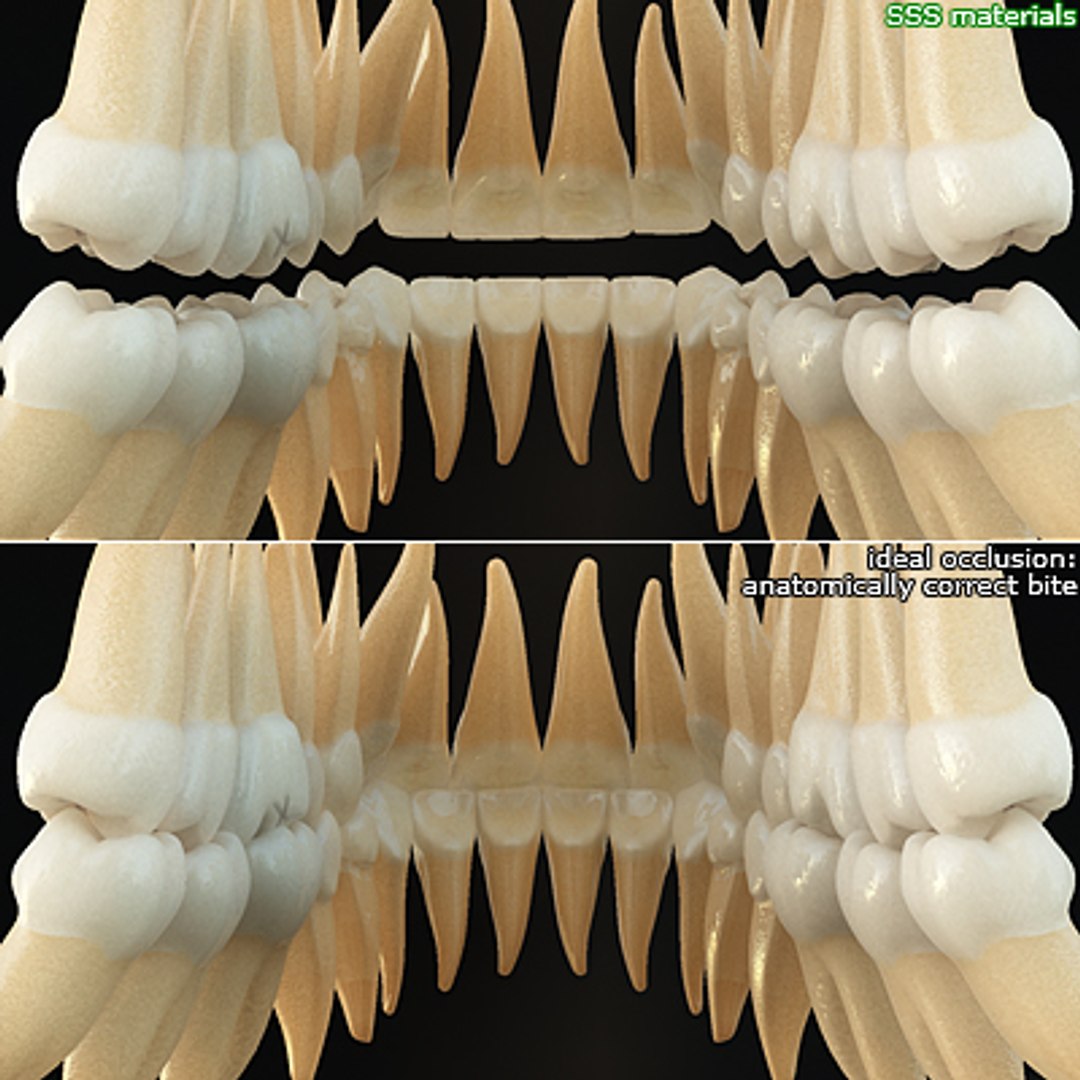 3d linda 5 realistic female https://p.turbosquid.com/ts-thumb/rw/Nlf7Kx/uUaGTPoy/10/jpg/1257025648/1920x1080/fit_q87/3ae4c1c3e9bc77eb63da46083a0c744c860b5613/10.jpg