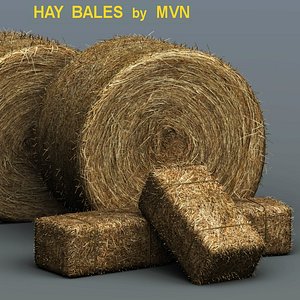 bales hay 3d model