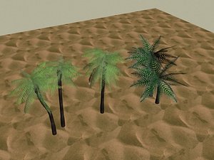 3d model of palm trees