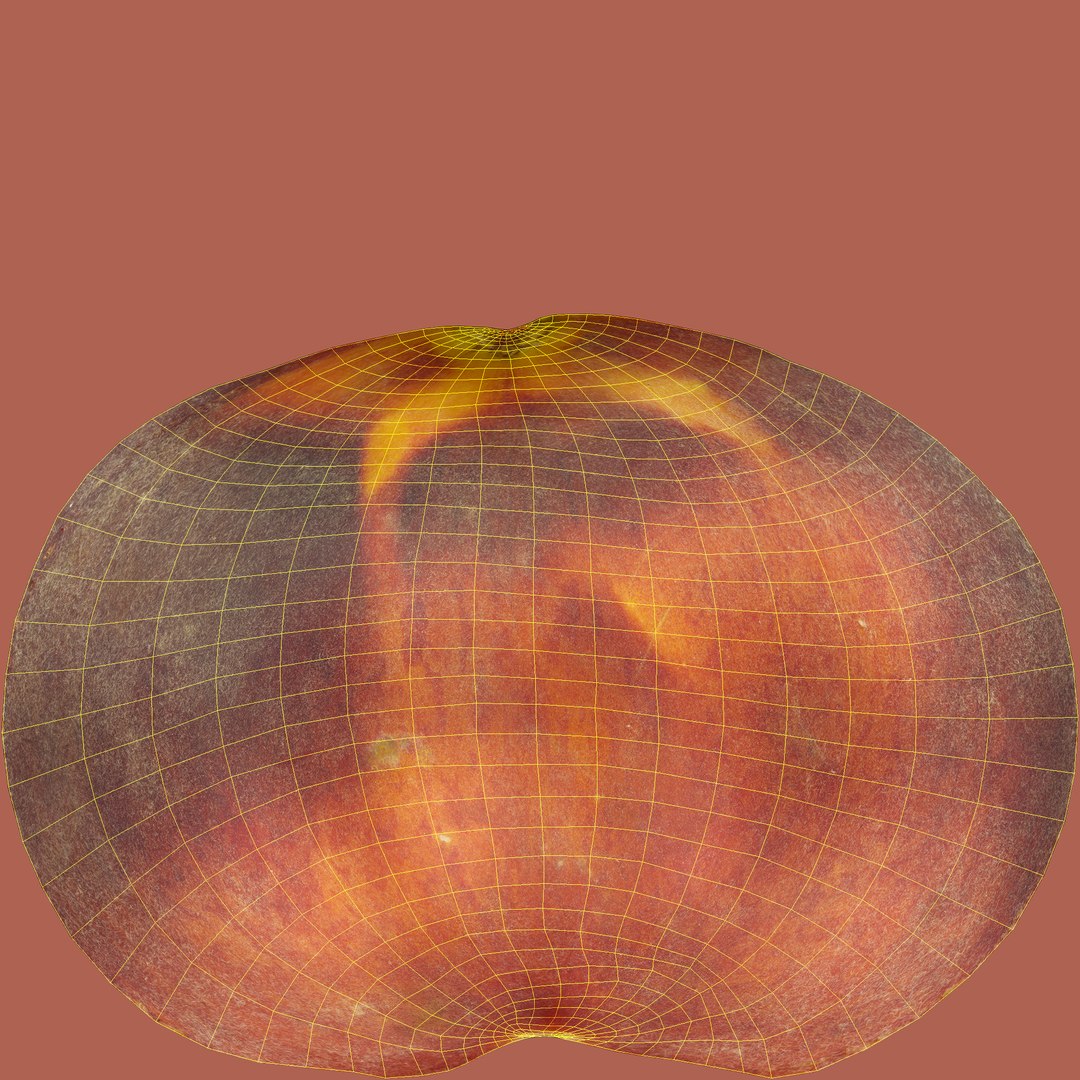 peaches plate 3D model https://p.turbosquid.com/ts-thumb/rw/lDkTIc/wrWDvnce/unwrap4/jpg/1595588297/1920x1080/fit_q87/5c1141a87d53704d8269c0e308249b1cc48ee7ce/unwrap4.jpg