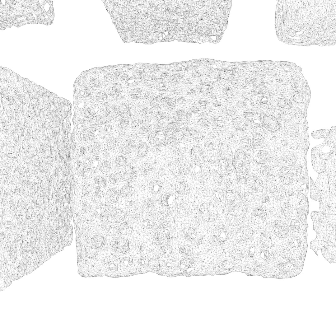 BoneStructureC4D 3D https://p.turbosquid.com/ts-thumb/rw/o14OUR/FW/wire7/png/1680248946/1920x1080/fit_q87/7b394a28ce93c2e5add5dfa55aa8a2107c3f7337/wire7.jpg
