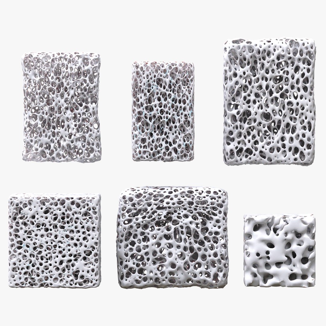 BoneStructureC4D 3D https://p.turbosquid.com/ts-thumb/rw/o14OUR/Fk/render_fullquality/png/1680248922/1920x1080/fit_q87/0253d5a89a6bdb84cc0a3d1791e326cac7d3a7a3/render_fullquality.jpg