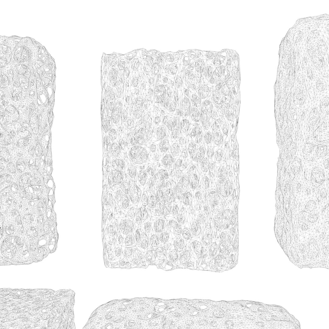 BoneStructureC4D 3D https://p.turbosquid.com/ts-thumb/rw/o14OUR/W9/wire4/png/1680248944/1920x1080/fit_q87/71e252403bfe2e046f546e1e9480cd0fe5cb382b/wire4.jpg