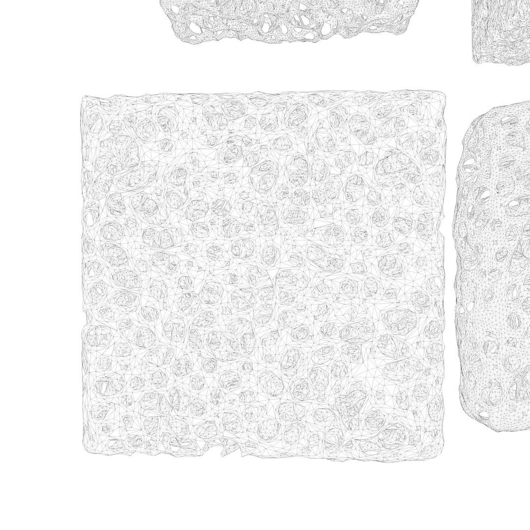 BoneStructureC4D 3D https://p.turbosquid.com/ts-thumb/rw/o14OUR/e2/wire6/png/1680248944/1920x1080/fit_q87/7d0e47a39b75c7d96aadede18d2d1418e40e9cf2/wire6.jpg