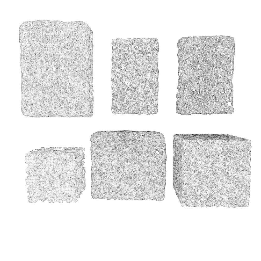 BoneStructureC4D 3D https://p.turbosquid.com/ts-thumb/rw/o14OUR/pc/wire1/png/1680248942/1920x1080/fit_q87/1461721d14c034c8fbb6111917a0fa50f5aecad8/wire1.jpg