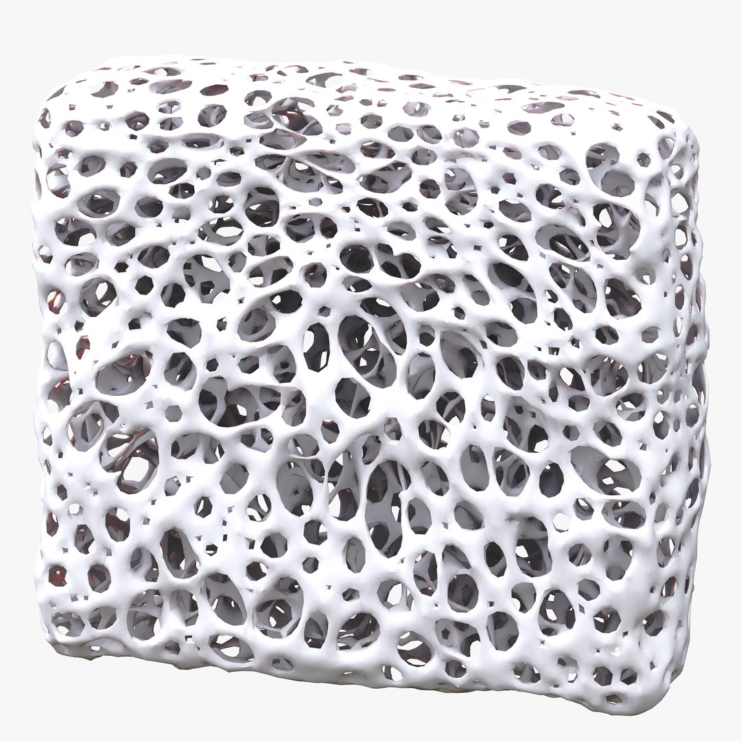 BoneStructureC4D 3D https://p.turbosquid.com/ts-thumb/rw/o14OUR/v2/render_fullquality_005/png/1680248940/1920x1080/fit_q87/1a710211849ca998c8711870059174980ef24456/render_fullquality_005.jpg