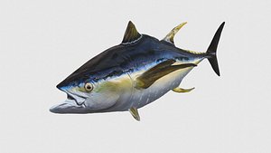Low Poly Tuna Rigged With Realistic Texture