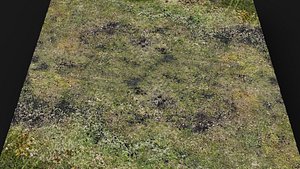 terrain ground grass bushes patch pt8 PBR photogrammetry 3D model