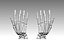 hand bones anatomy 3D