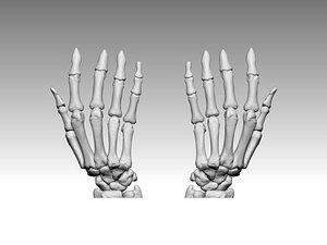 hand bones anatomy