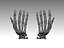 hand bones anatomy 3D