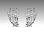 hand bones anatomy 3D