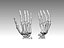 hand bones anatomy 3D