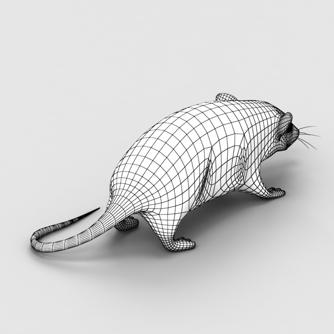 Rat Mouse 3d Model