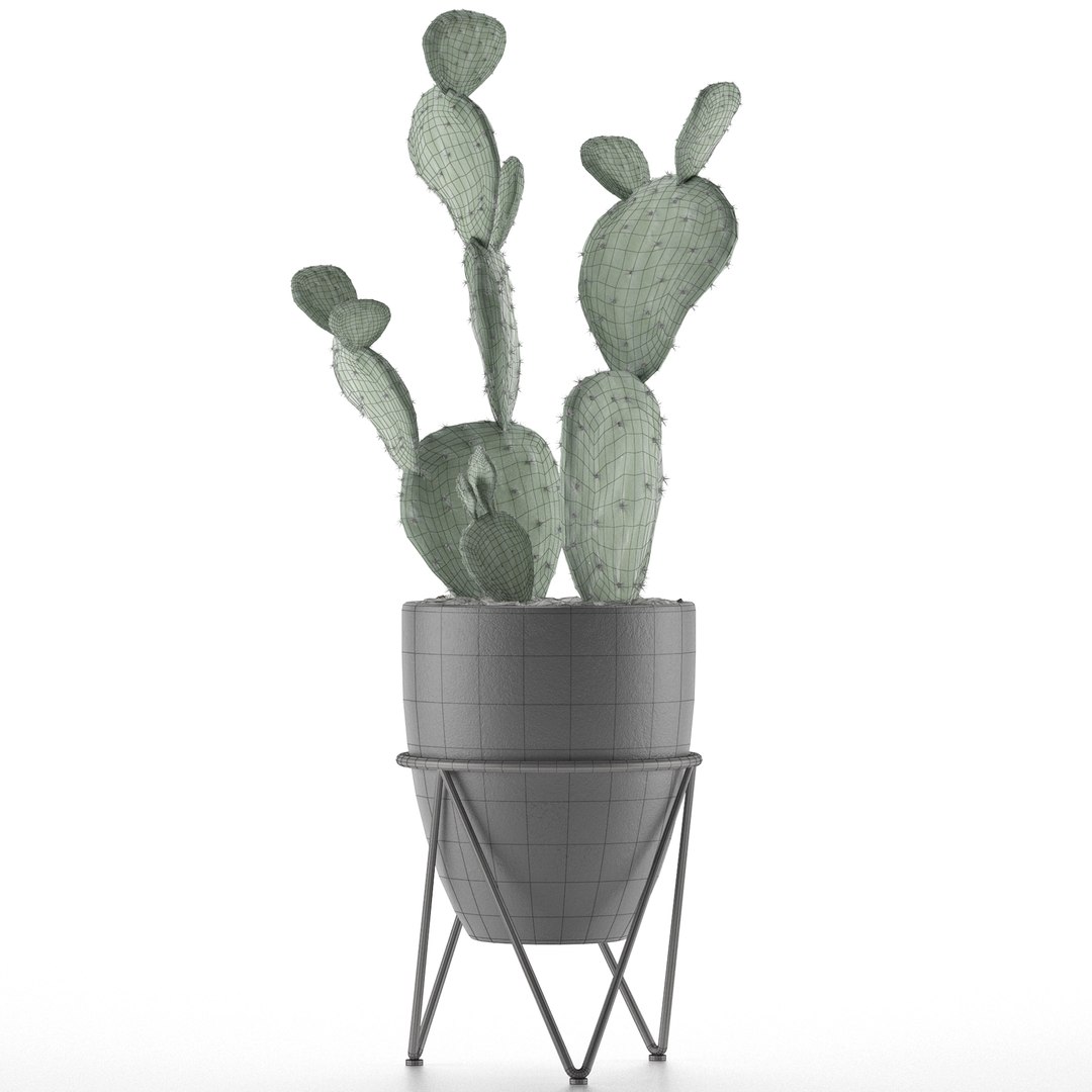 house plant 33 3D model https://p.turbosquid.com/ts-thumb/rx/V8Pqxu/bByWUY8H/6/jpg/1594928968/1920x1080/fit_q87/0b7bf9c3d29ee4330968169db98816045eabd6a5/6.jpg