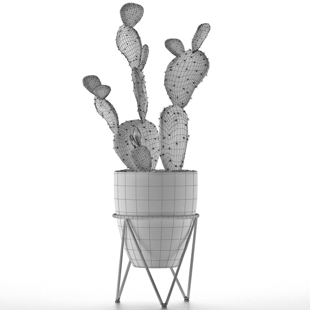 house plant 33 3D model https://p.turbosquid.com/ts-thumb/rx/V8Pqxu/lLWCeWj9/5/jpg/1594928968/1920x1080/fit_q87/c0910b435d943b1d3c9a31e7f2b8b9b4221d59bc/5.jpg