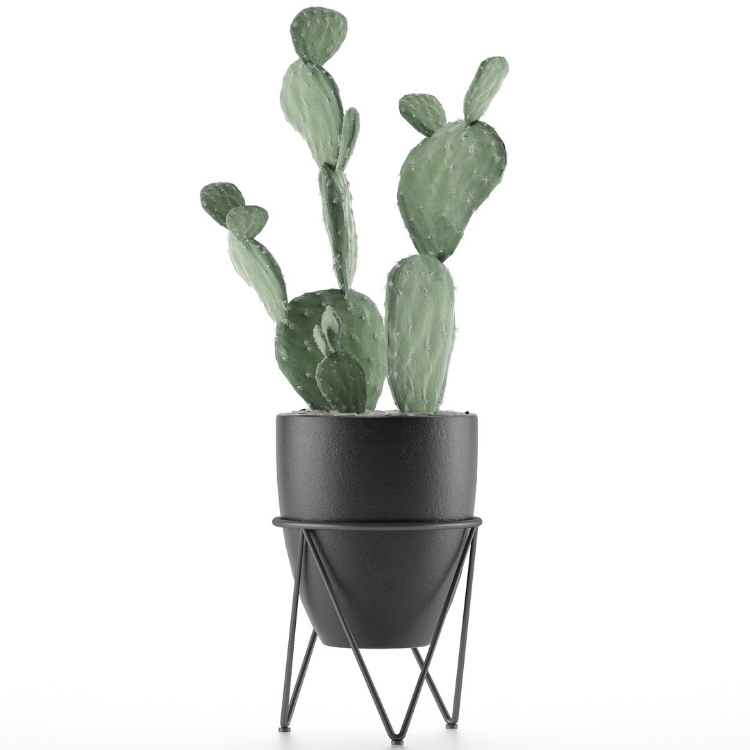 house plant 33 3D model https://p.turbosquid.com/ts-thumb/rx/V8Pqxu/ycH7rQ1b/2/jpg/1594928968/1920x1080/fit_q87/7741fce7863430f0f3b72bd38b7736be13519aca/2.jpg