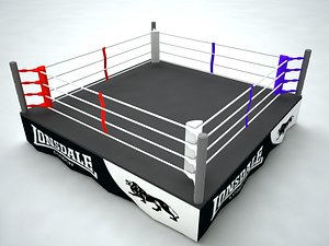 modèle 3D de Ring De Boxe Noir Blanc - TurboSquid 1967118