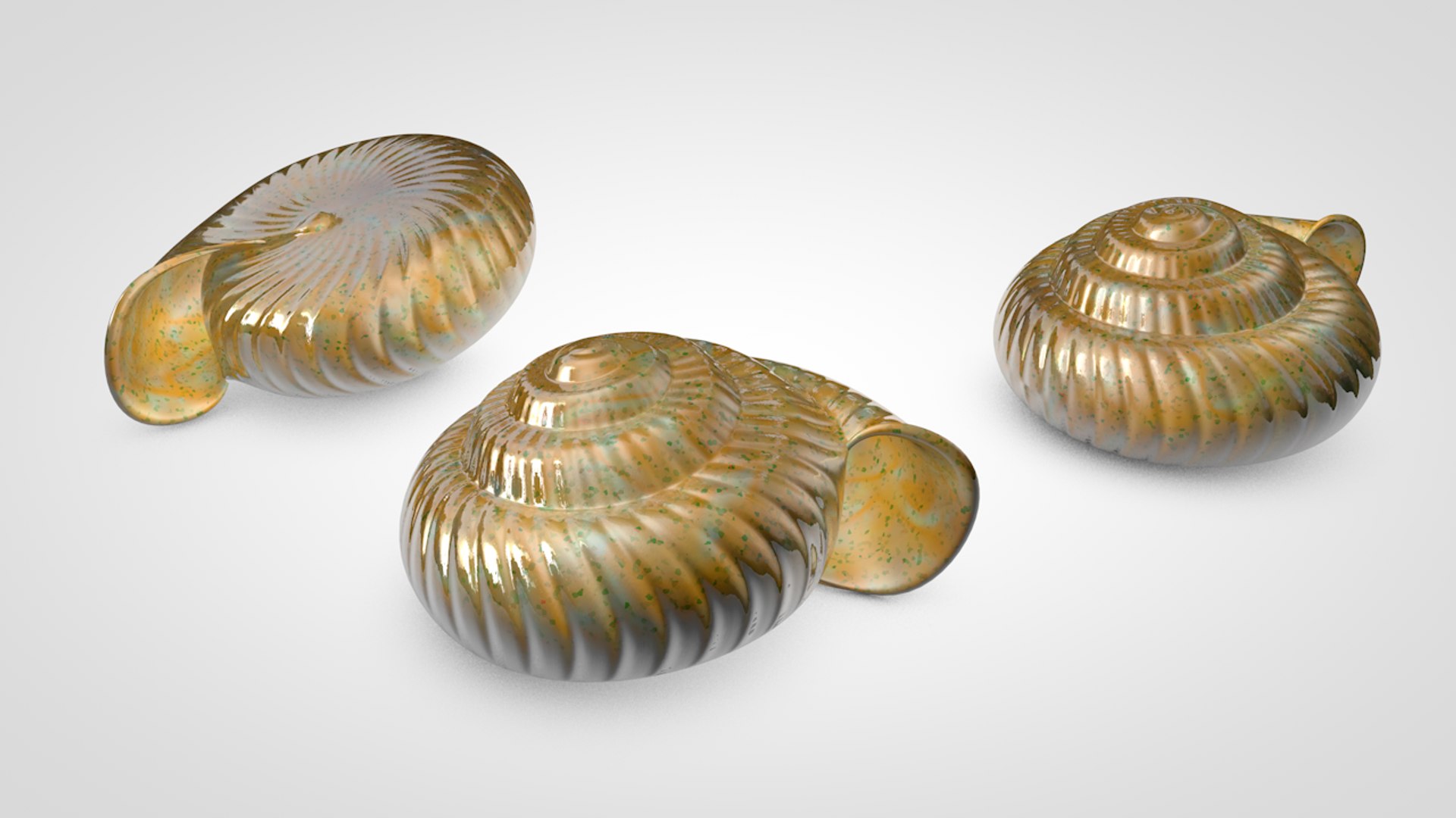 3D snail shell model https://p.turbosquid.com/ts-thumb/rx/hzlaTo/29u59FRv/shell_camera_4_a_result/png/1520968658/1920x1080/fit_q87/dc7aff5cebea86df9c8d1042ea3f50a7639133bb/shell_camera_4_a_result.jpg