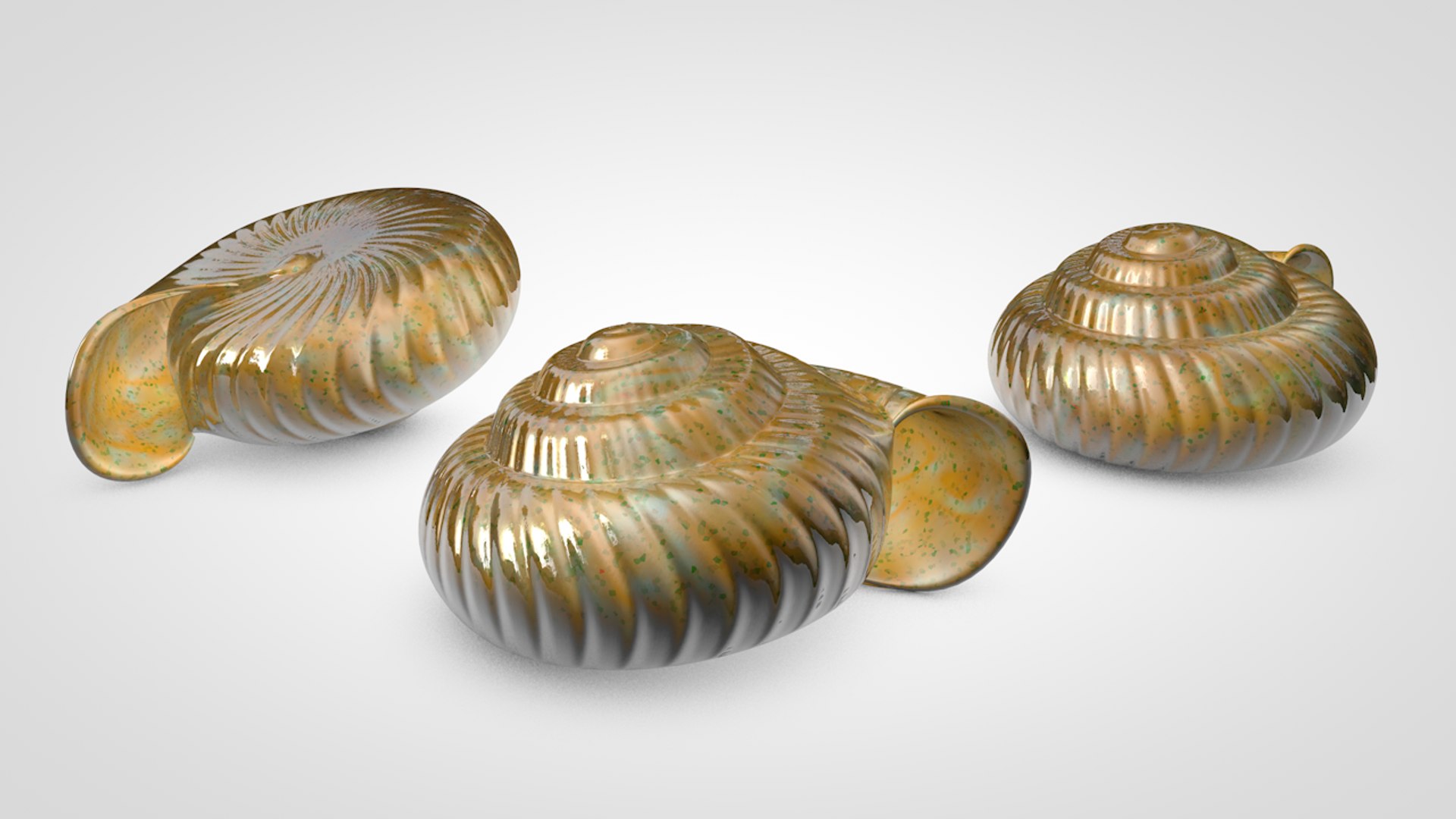 3D snail shell model https://p.turbosquid.com/ts-thumb/rx/hzlaTo/b4egYdkO/shell_camera_1_a_result/png/1520968658/1920x1080/fit_q87/0d60ac1dfdaf0b4f0a576777bf95621029376dfe/shell_camera_1_a_result.jpg