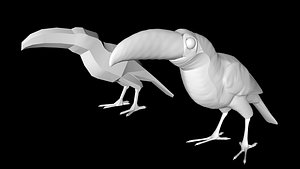 toucan