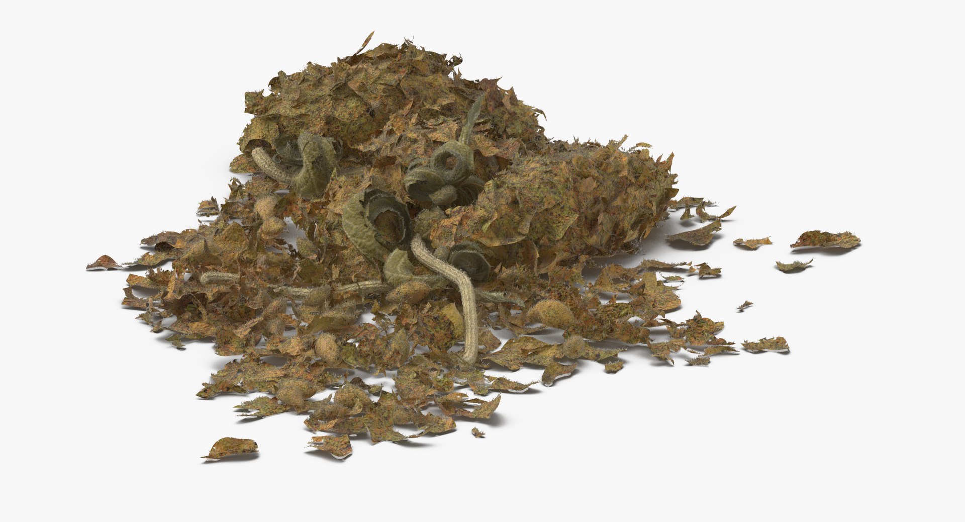 marijuana piles 3D model https://p.turbosquid.com/ts-thumb/rx/lgmxXk/5MExR7BZ/loose_piles_of_marijuana_02_thumbnail_0005/jpg/1504871422/1920x1080/fit_q87/1cbe257fea7ff3559090d49fe24d5e1fb43720eb/loose_piles_of_marijuana_02_thumbnail_0005.jpg