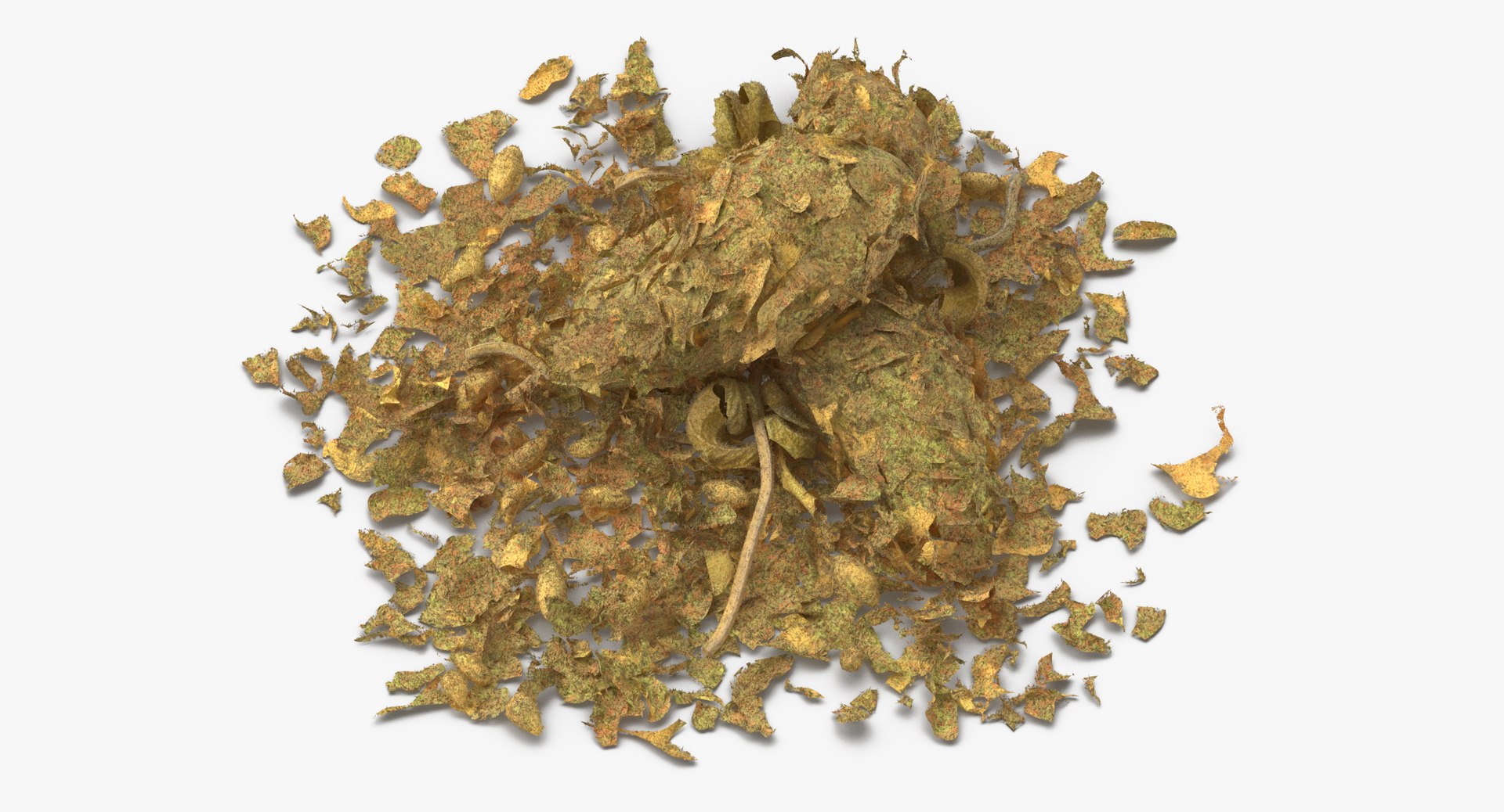 marijuana piles 3D model https://p.turbosquid.com/ts-thumb/rx/lgmxXk/P1Pdt9UO/loose_piles_of_marijuana_03_thumbnail_0001/jpg/1504871434/1920x1080/fit_q87/7617ebad89f9bbe2ab0dbd41368a2a643958c659/loose_piles_of_marijuana_03_thumbnail_0001.jpg