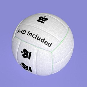 Volleyball