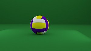 volleyball ball