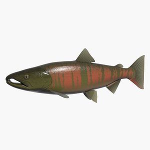 3d cherry sakuramasu model