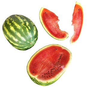 3D Watermelon Set model