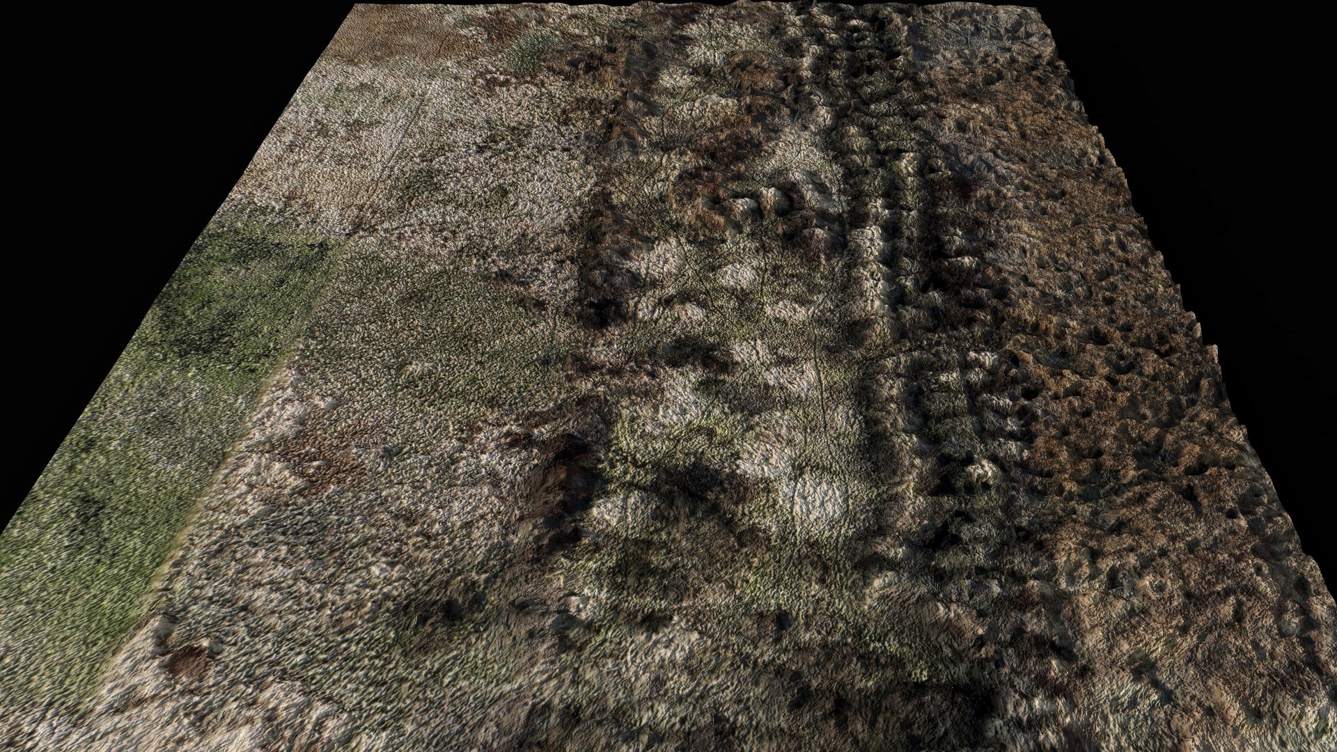 3D Landscape Plants Bushes Field Large Area Part1 Drone Scan Model ...