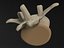 Vertebra