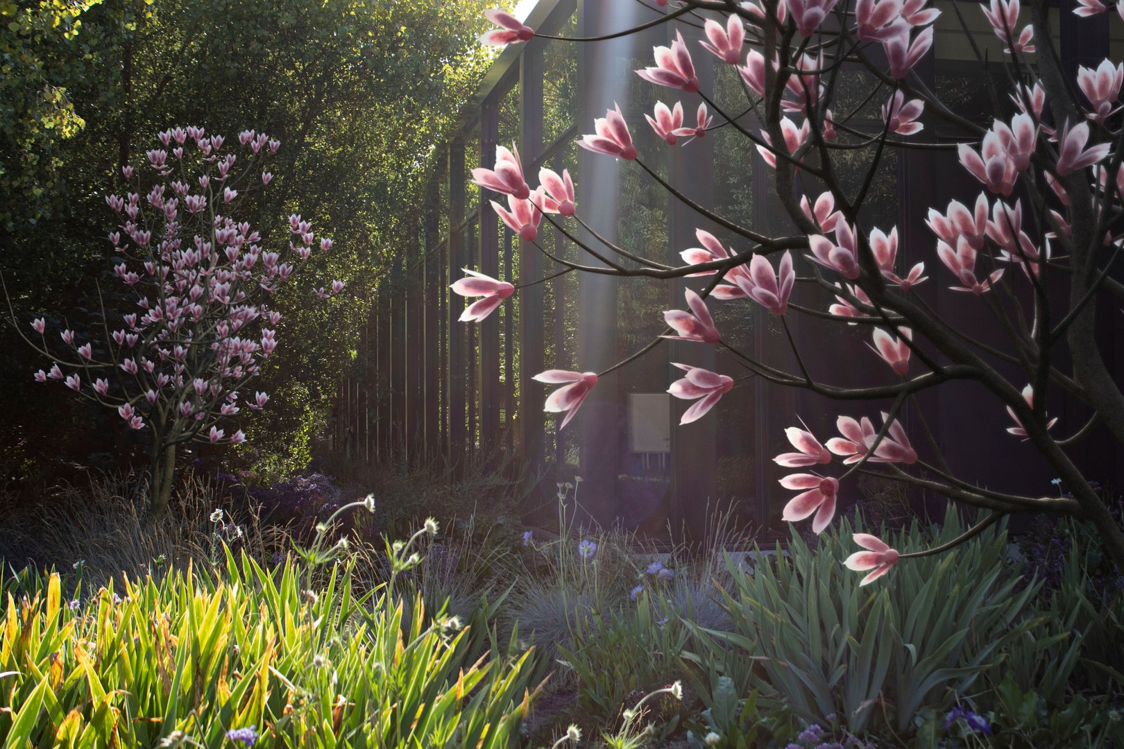 magnolia tree nature 3D model https://p.turbosquid.com/ts-thumb/rz/1kyf7t/3h/ja11comp/jpg/1610737060/1920x1080/fit_q87/563f4ffff46534421b3b0330a93dcda161ec78f9/ja11comp.jpg