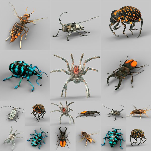 3d model stag beetle