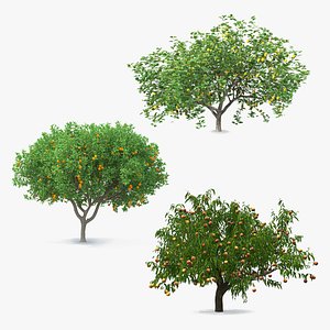 Fruit Trees Collection