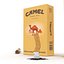Cigarettes Camel Collection