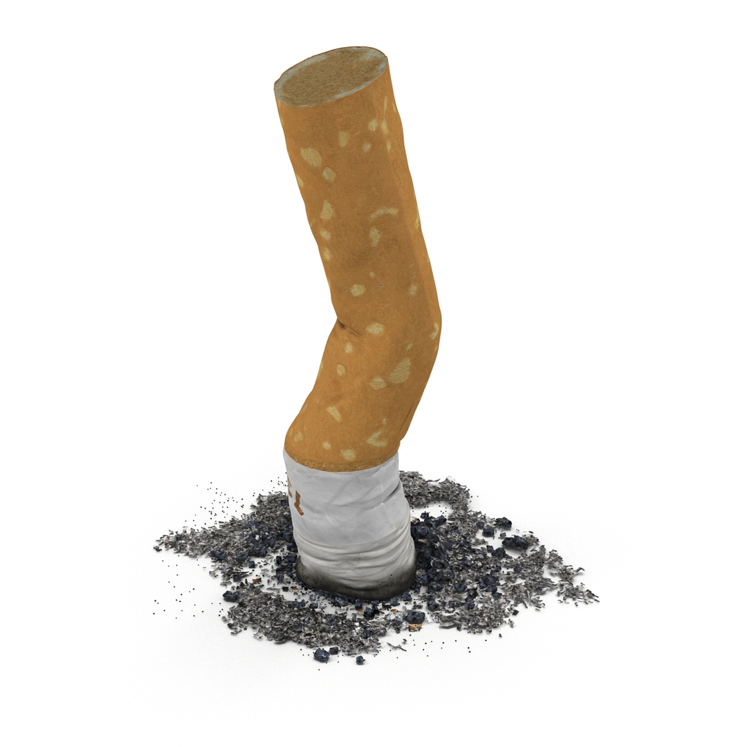 3d cigarettes camel model https://p.turbosquid.com/ts-thumb/rz/6hNN0O/oRTrUjK5/snuffed_cigarette_camel_360/jpg/1464357860/1920x1080/turn_fit_q99/d11f03f0f25c2ee20931fe70c01f551fbd699e9b/snuffed_cigarette_camel_360-1.jpg
