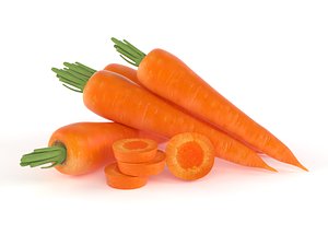 carrot vegetable food 3D