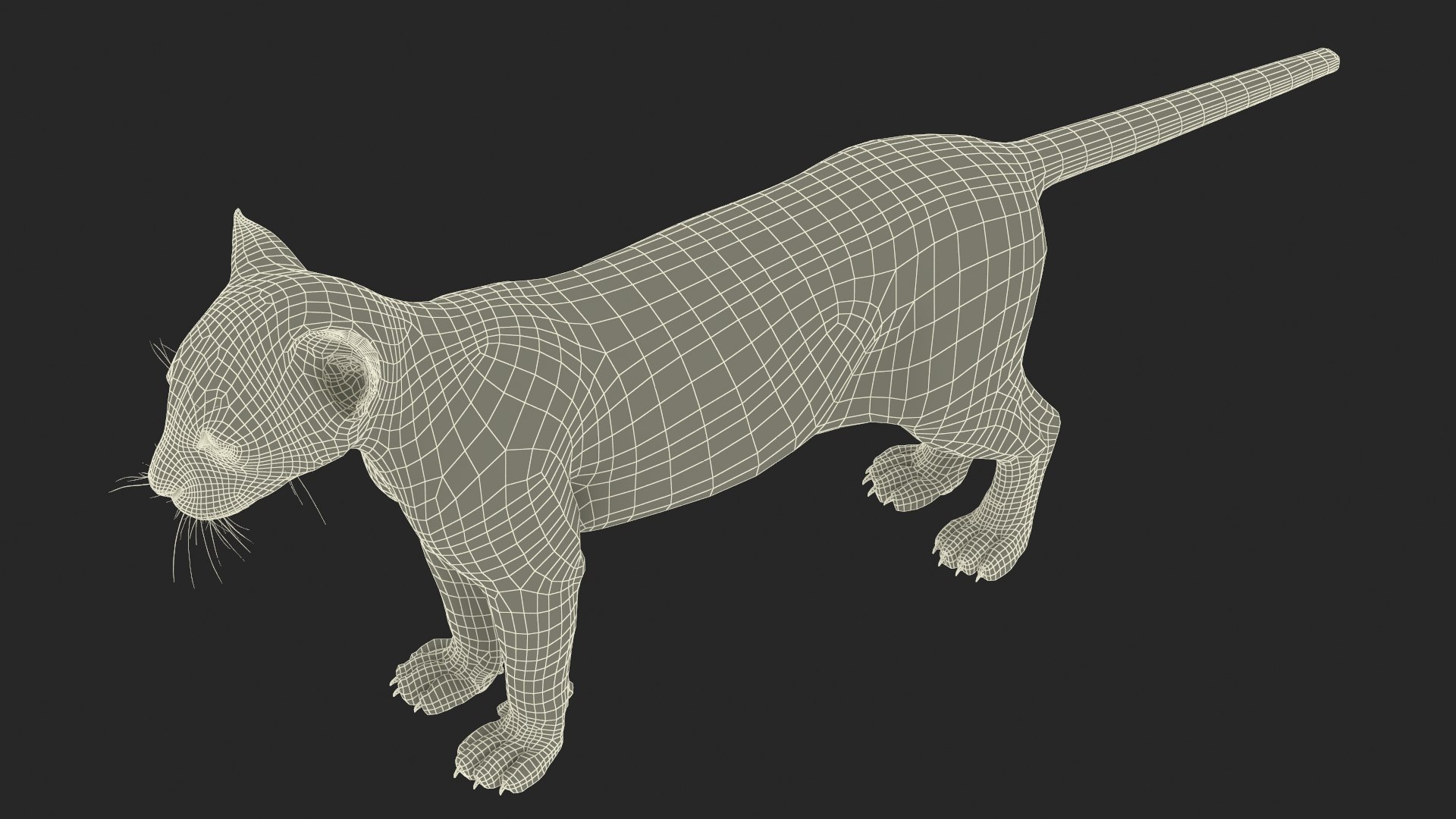 3D Black Panther Cub Standing Pose https://p.turbosquid.com/ts-thumb/rz/KnuS41/4J/black_panther_cub_standing_pose_017/jpg/1737183177/1920x1080/fit_q87/d1a08442830f646392fcde5ec778522f78f9bff4/black_panther_cub_standing_pose_017.jpg