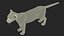 Black Panther Cub Standing Pose