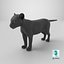 Black Panther Cub Standing Pose