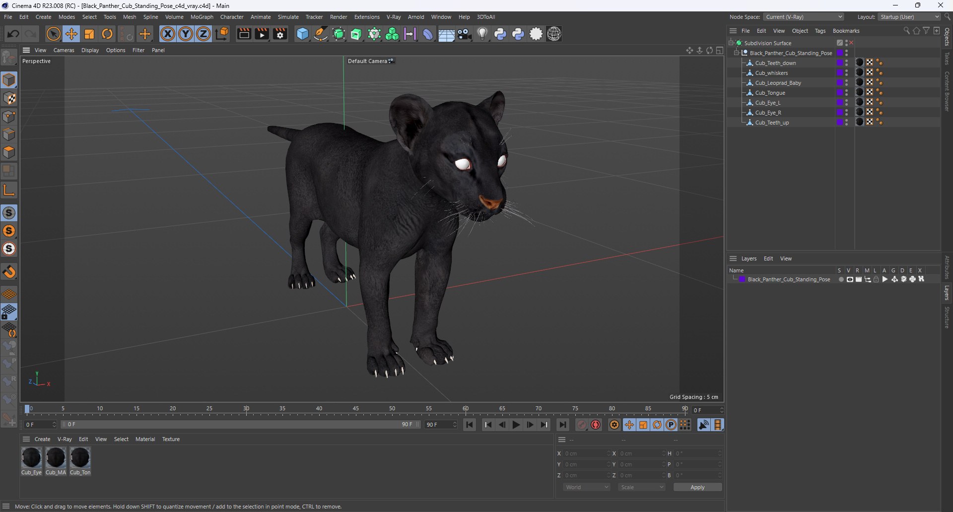 3D Black Panther Cub Standing Pose https://p.turbosquid.com/ts-thumb/rz/KnuS41/Xg/black_panther_cub_standing_pose_1003/jpg/1737183196/1920x1080/fit_q87/8d4b14daa3c13280c6320c76fc47e29994774287/black_panther_cub_standing_pose_1003.jpg