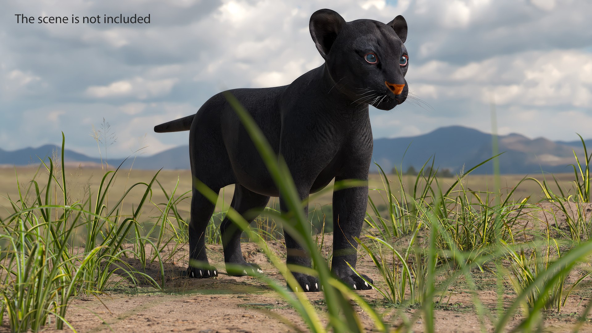 3D Black Panther Cub Standing Pose https://p.turbosquid.com/ts-thumb/rz/KnuS41/na/black_panther_cub_standing_pose_003/jpg/1737183135/1920x1080/fit_q87/d7d4d880d48e2136fb22256b8fc85328f6379c4b/black_panther_cub_standing_pose_003.jpg