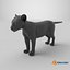 Black Panther Cub Standing Pose