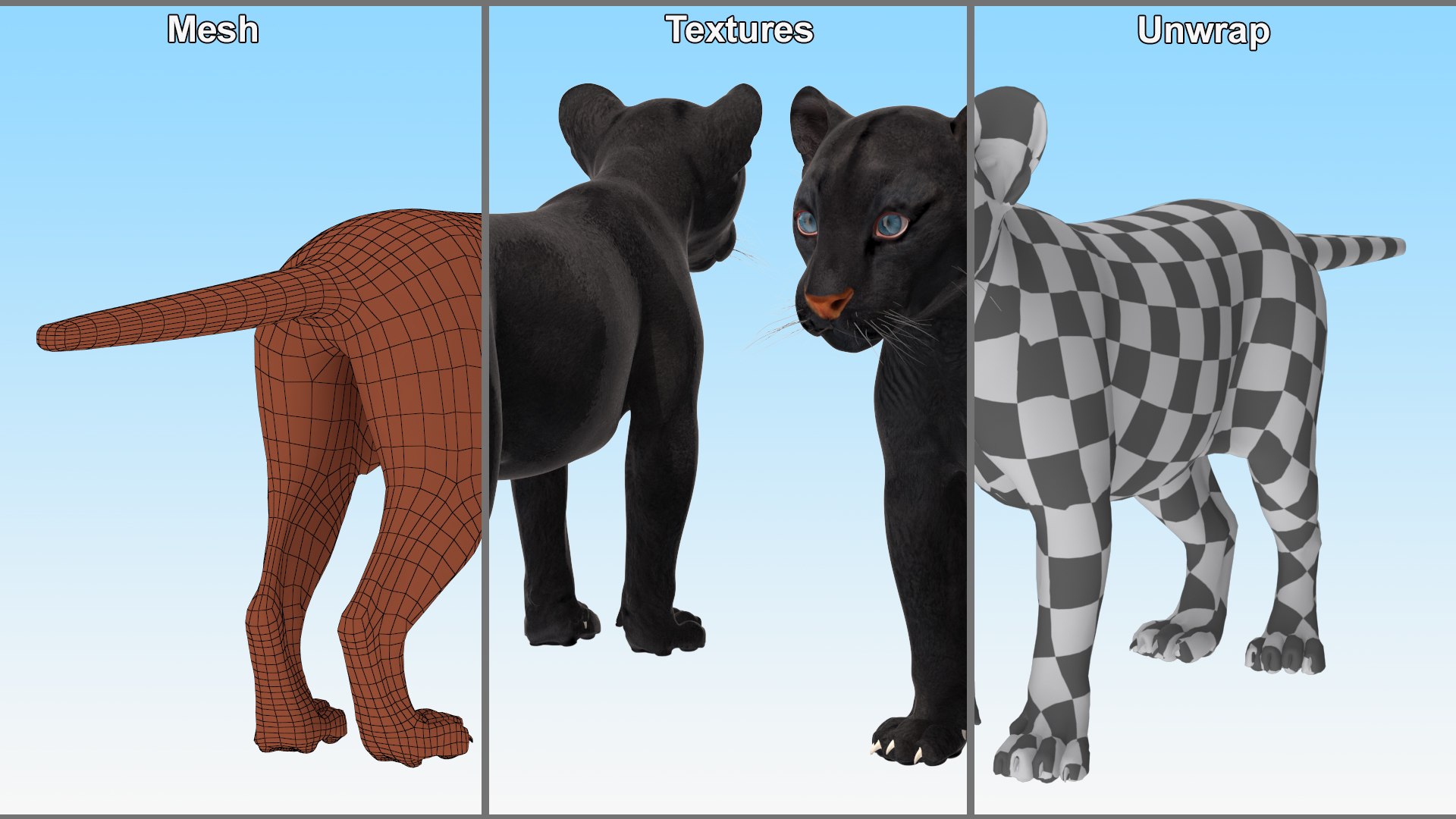 3D Black Panther Cub Standing Pose https://p.turbosquid.com/ts-thumb/rz/KnuS41/yj/black_panther_cub_standing_pose_011/jpg/1737183159/1920x1080/fit_q87/88354ae403bc5065c80130aeba3b8dcfef5e07cb/black_panther_cub_standing_pose_011.jpg
