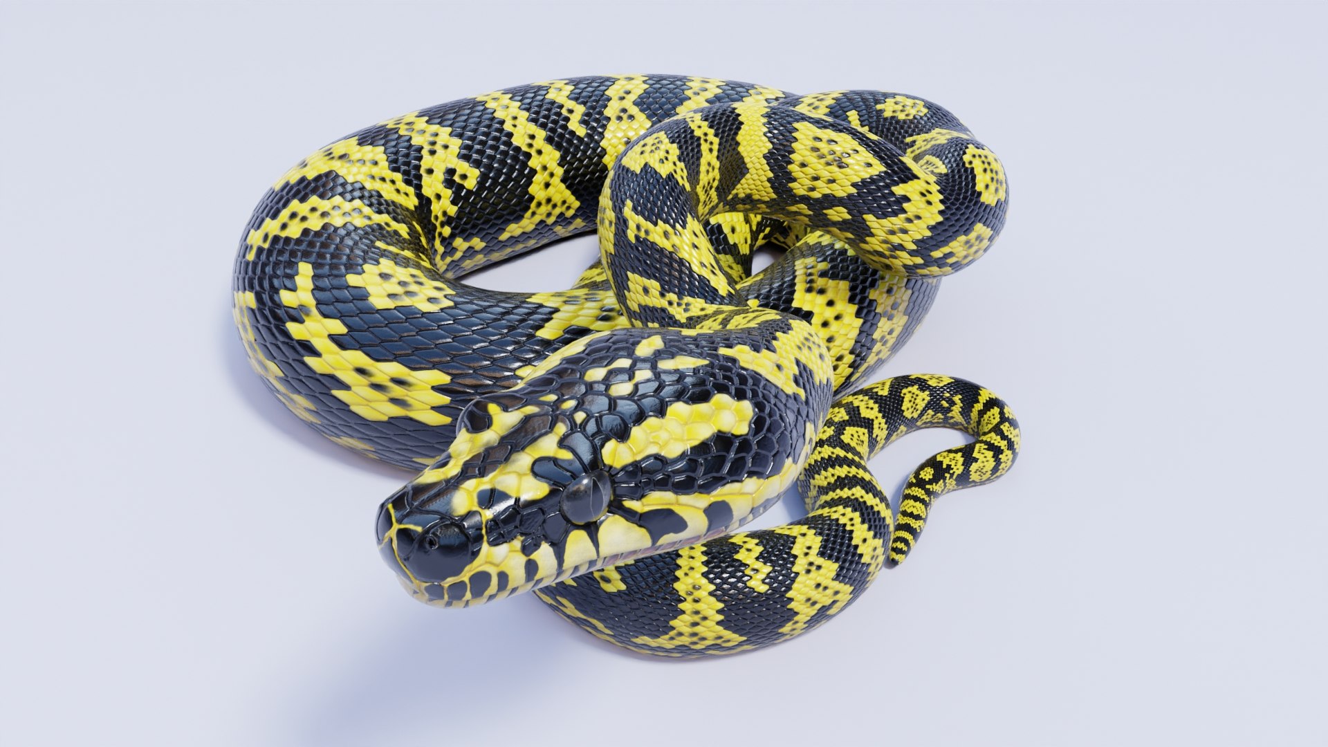 Zebra Jungle Carpet Python - Static Poses 3D Model - TurboSquid 2020582